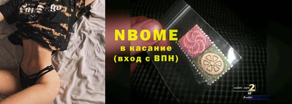 молекула духа Козловка