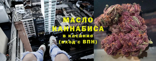 молекула духа Козловка