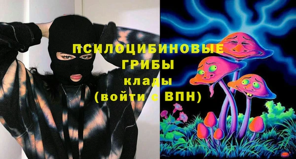 молекула духа Козловка