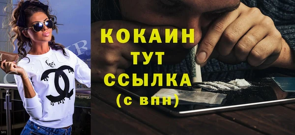 молекула духа Козловка